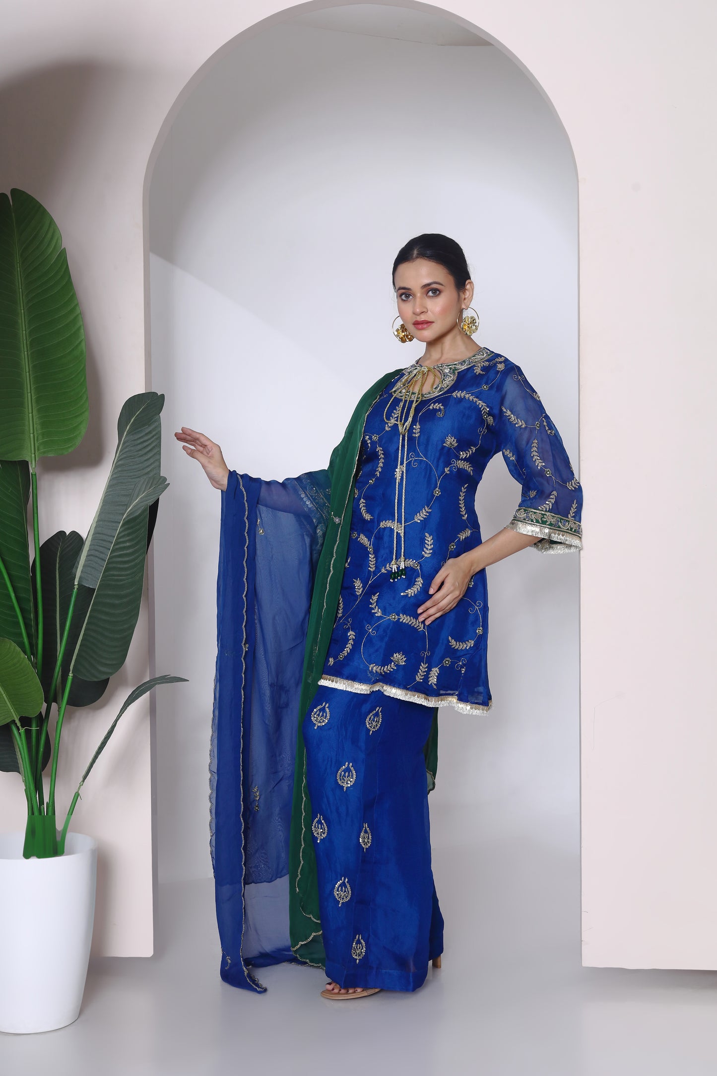 Organza embroidered kurta set