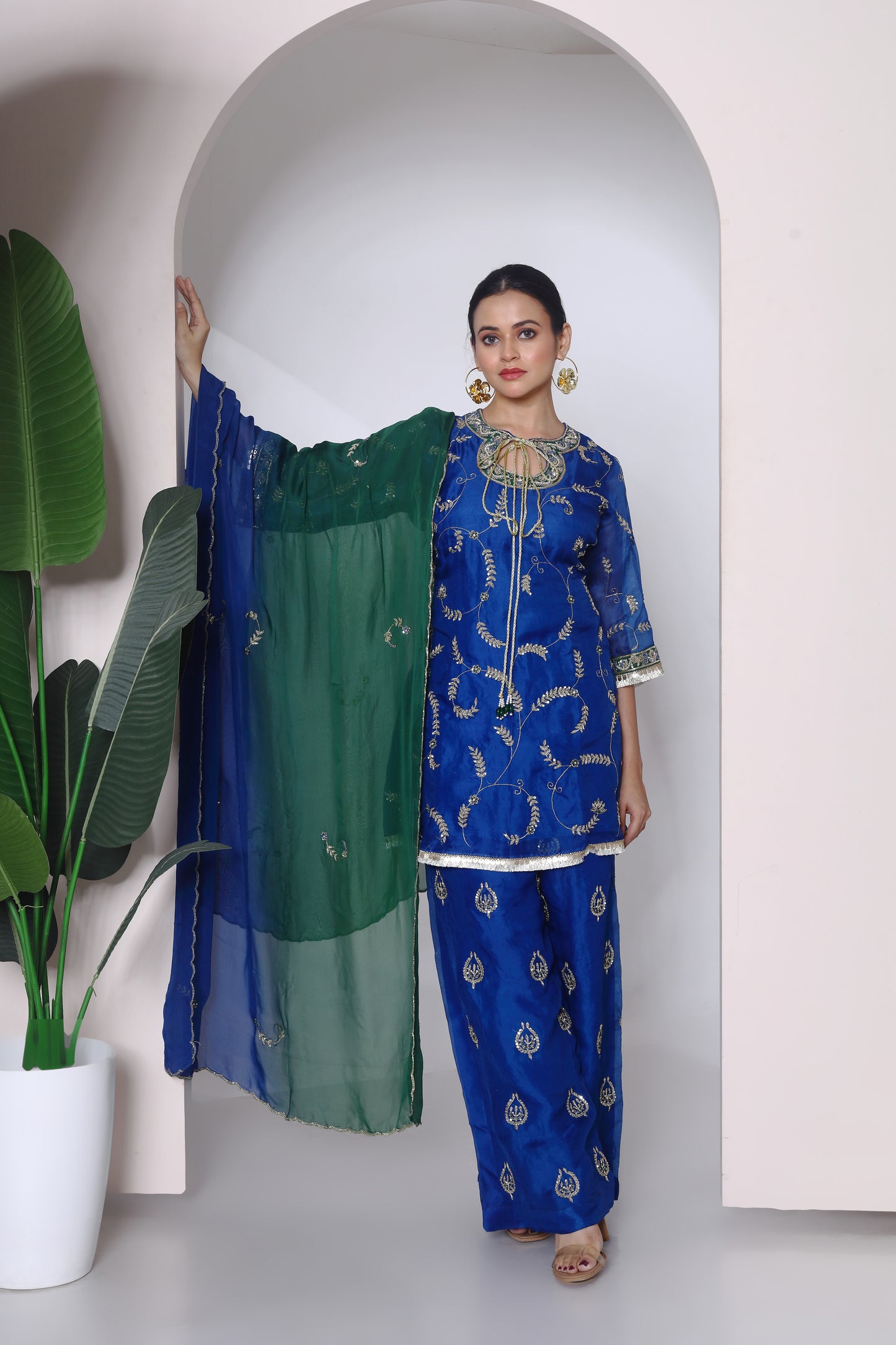 Organza embroidered kurta set