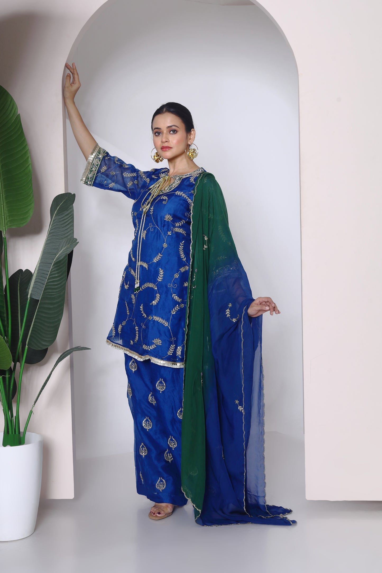Organza embroidered kurta set